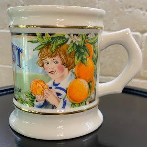 Franklin Mint Vintage SUNKIST ORANGES Porcelain Mug The Corner Store